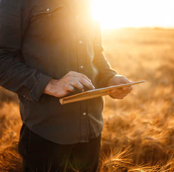 Man seeks divine guidance in nature, using technology for spiritual connection at sunset.