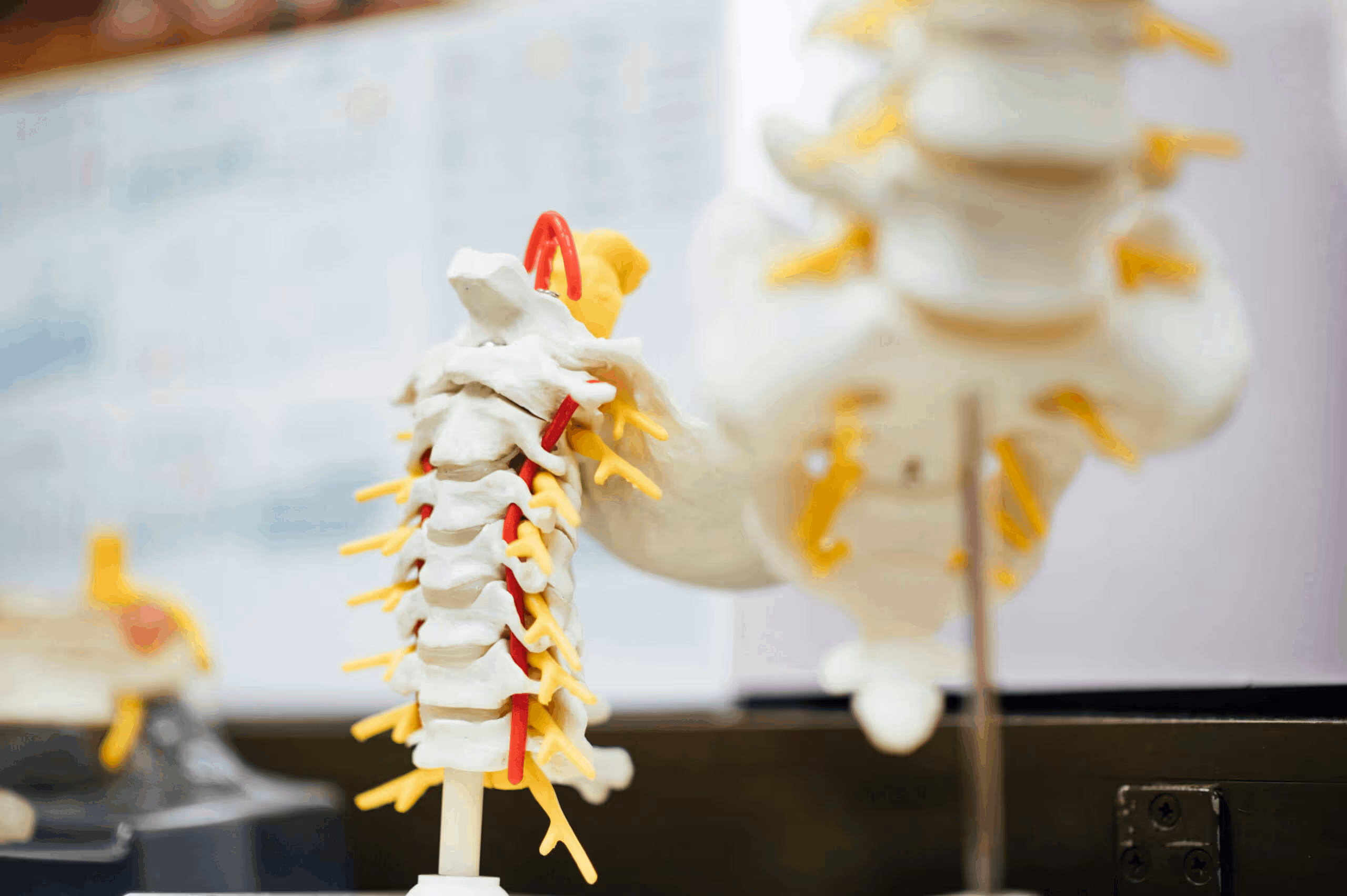 Is Poor Trunk Postural Control a Risk Factor for Low Back Pain?