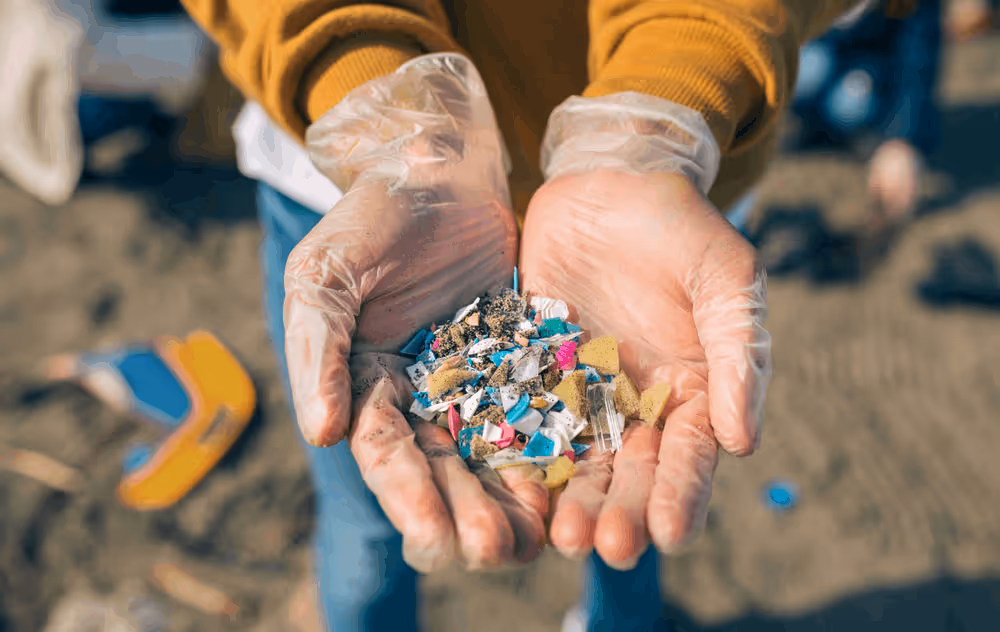 Microplastics and Nanoplastics Found in Carotid Plaques!