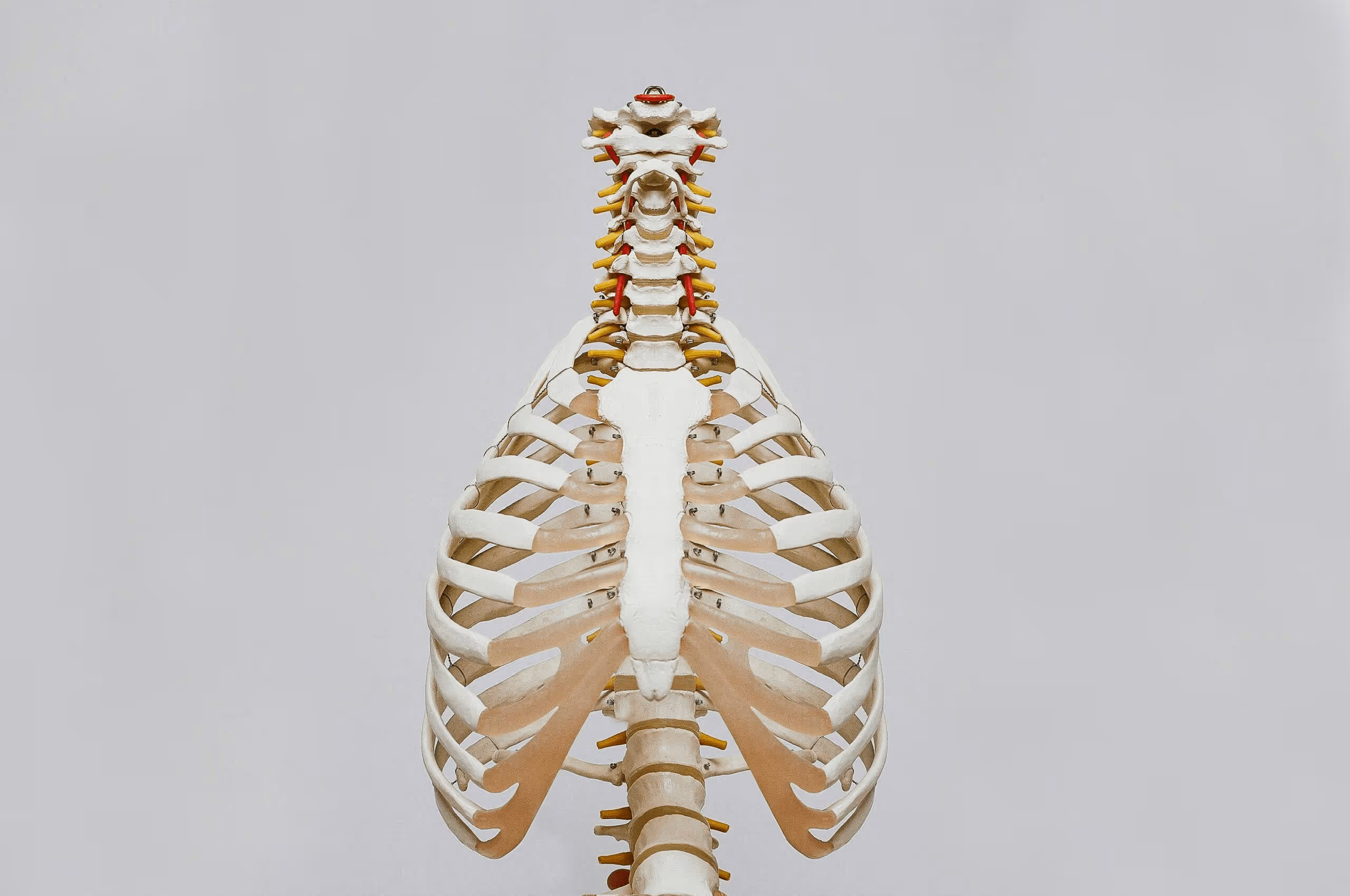 Herniated Lumbar Disc: Conservative Care or Surgery?