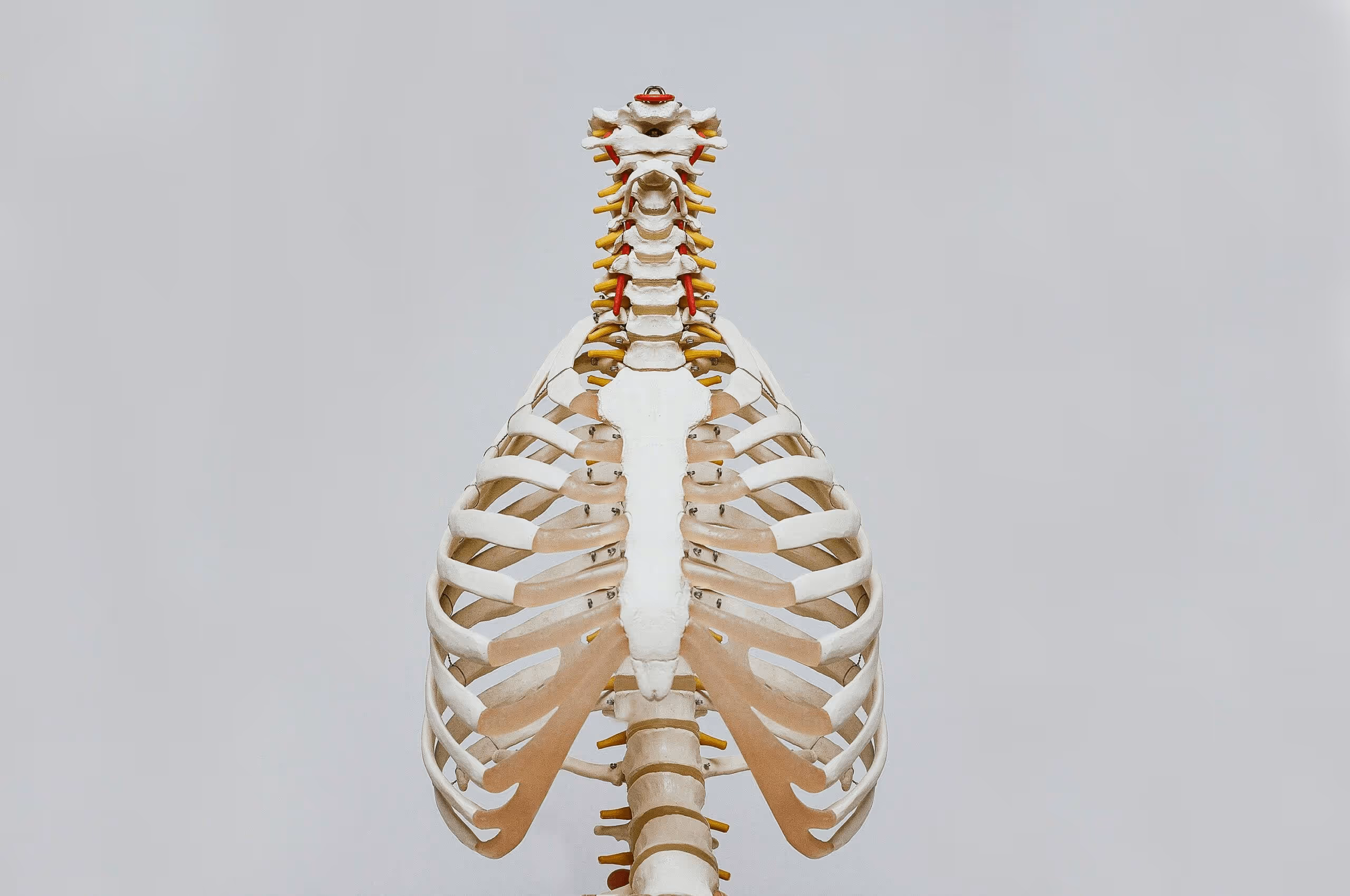 Discovering the Hidden Benefits of ProCredits Chiropractic Continuing Education Courses
