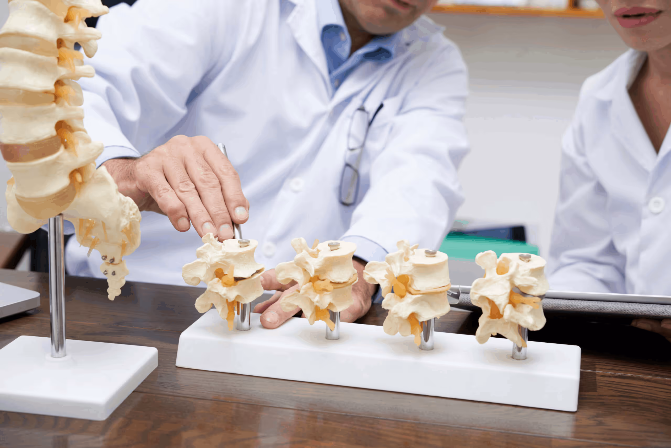 Elevate Your Practice with Online Chiropractic CE Courses