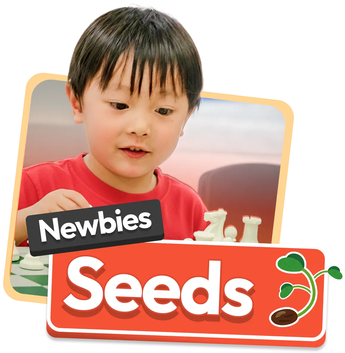 "Seeds" Level 1 class for newbies in Silicon Valley Chess Academy.