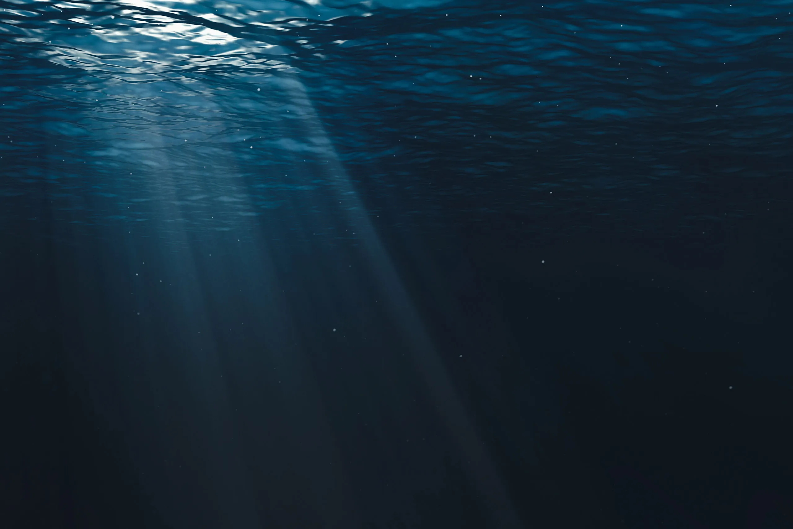 A ocean image