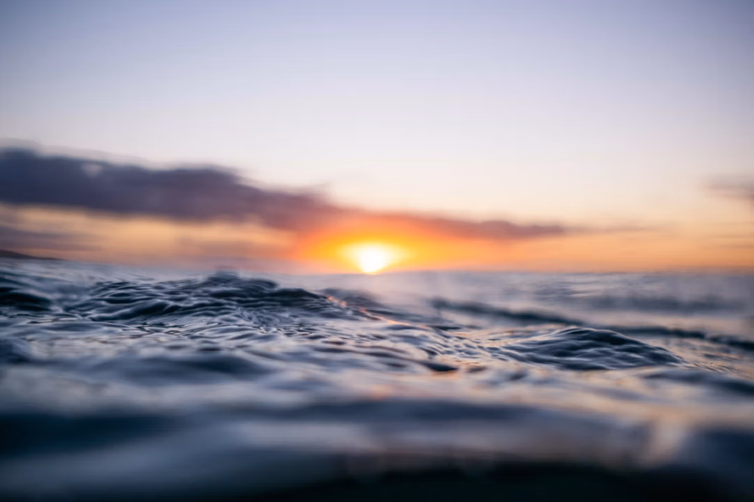 Jarden and NAB to launch leading wealth advice and asset management business in New Zealand