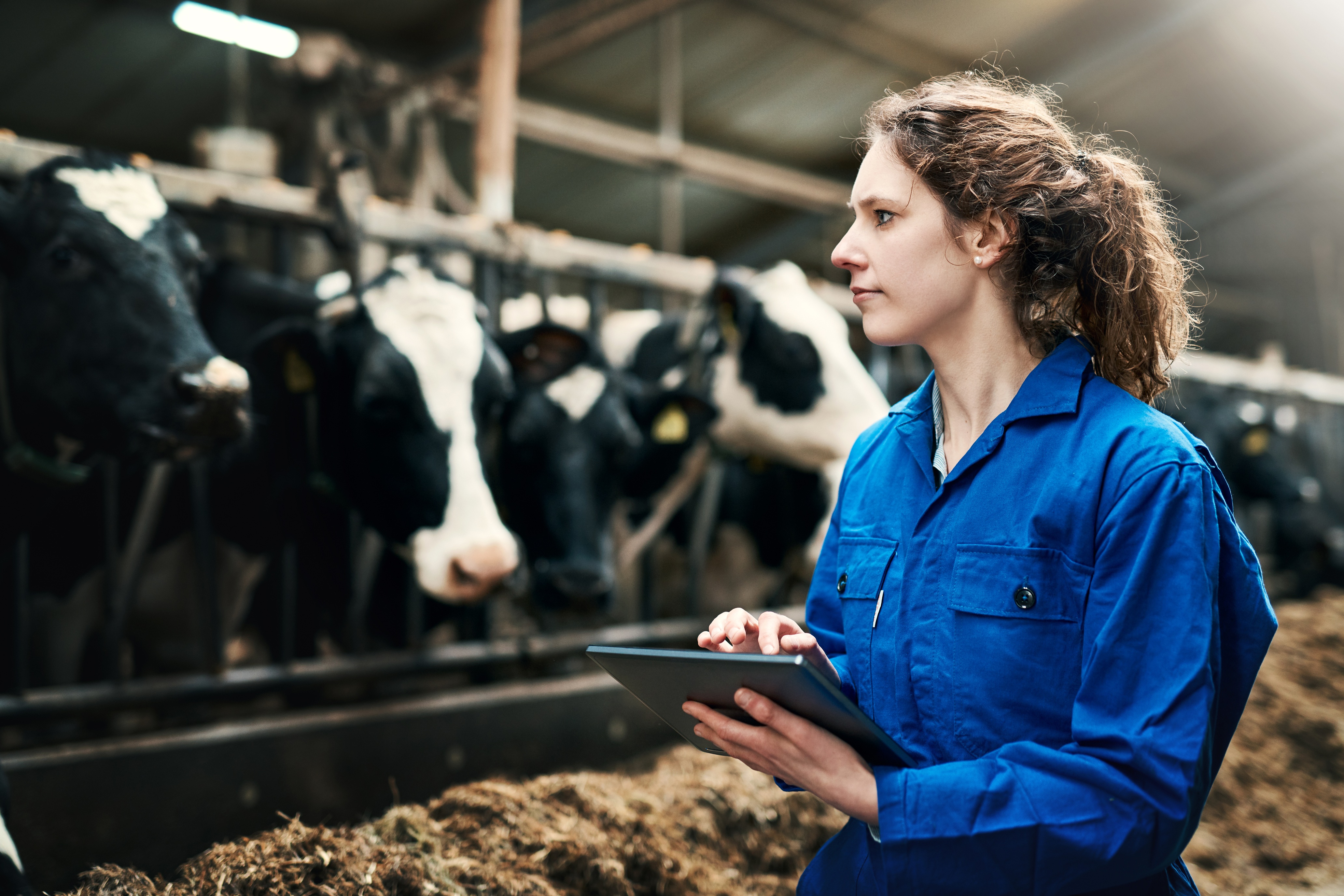 Sale of Mainland Group by Fonterra to Lactalis