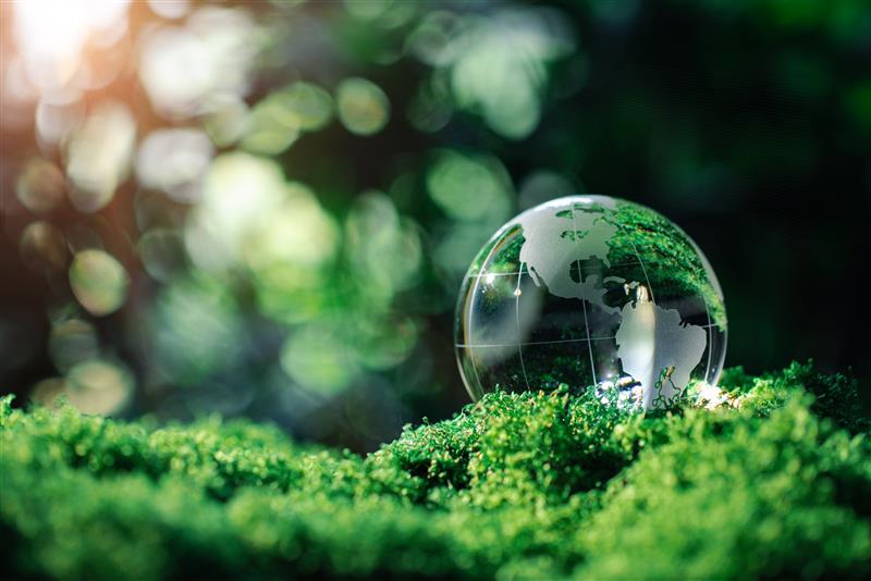 ESG Insights: Key themes to watch in 2026