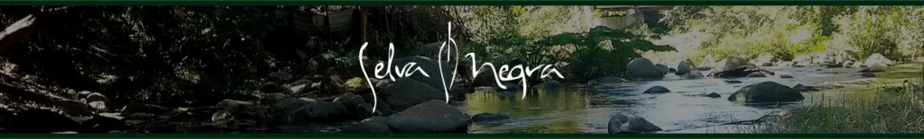 Selva Negra2