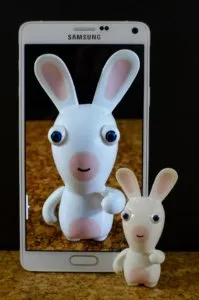hare-643353_1920