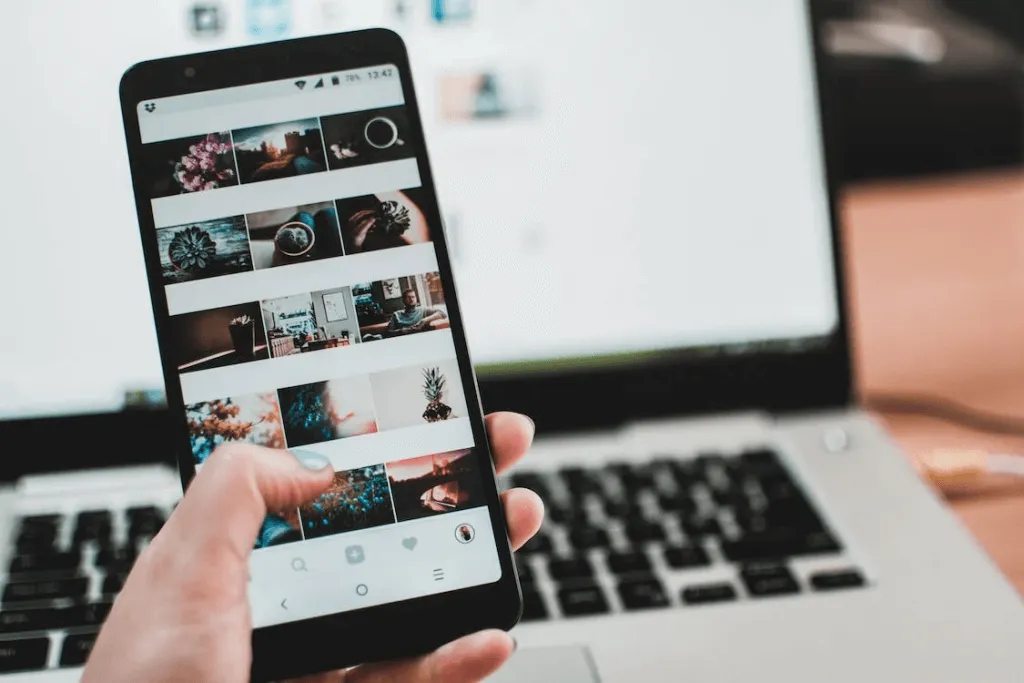 search marketing