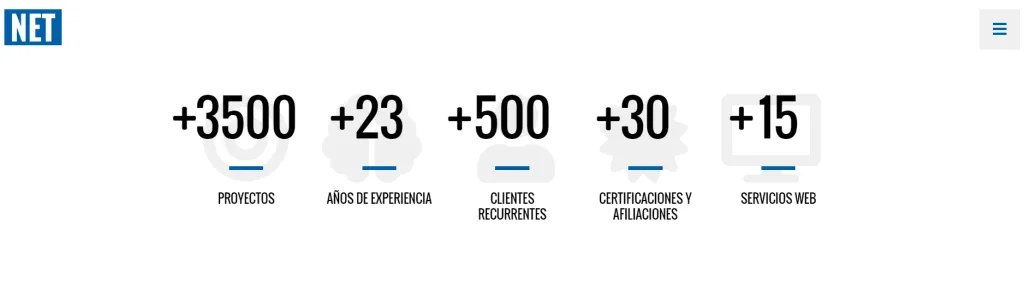 diseño profesional