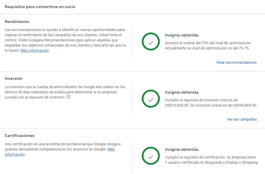 Google Partner 