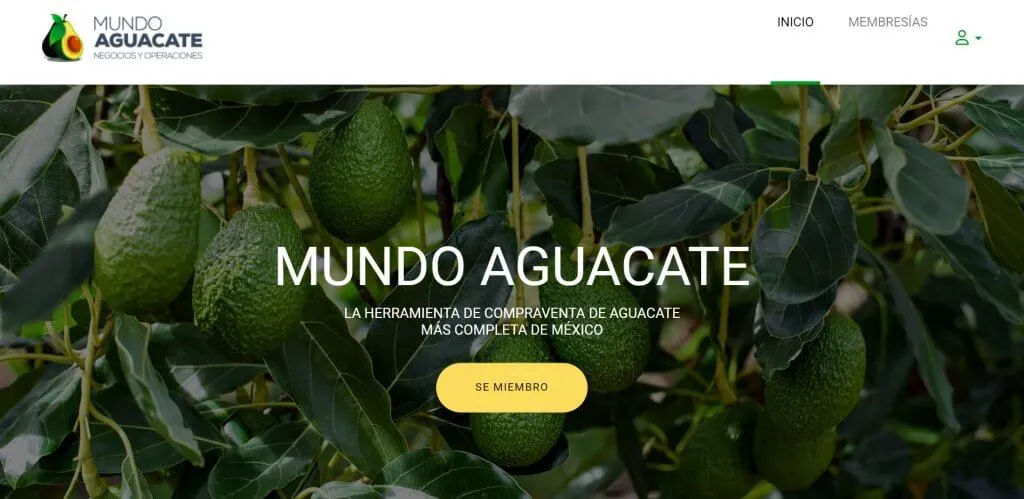 Mundo Aguacate