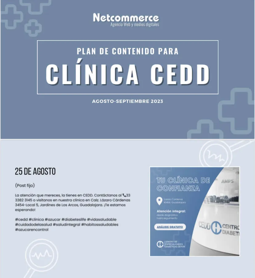 cedd