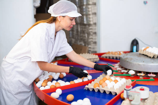 Seasonal Food Production Hiring for Easter Demand