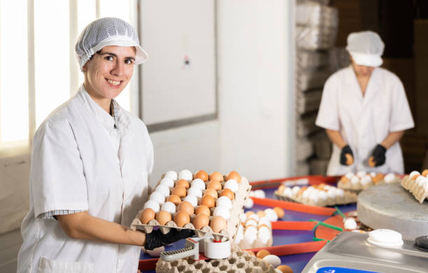 Seasonal Food Production Hiring for Easter Demand