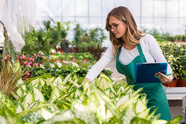 Seasonal Absenteeism Hiring for Plants