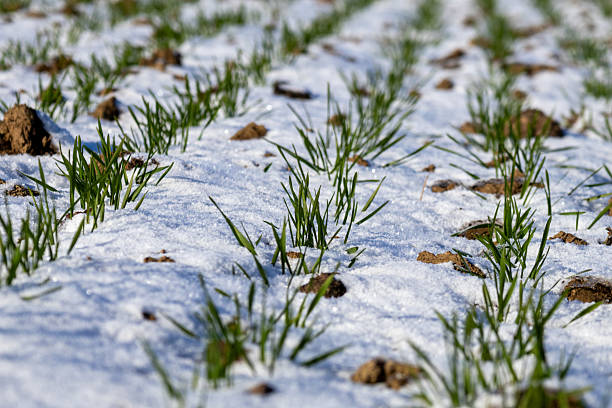 Managing Your Seasonal to Permanent Transition