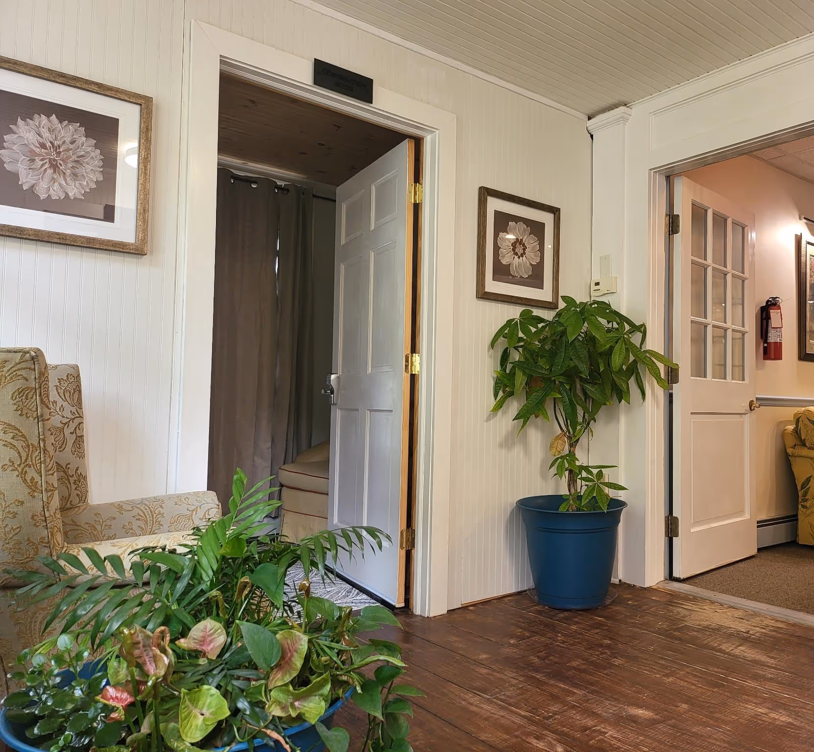 An entrance room with dark wood flooring, white walls, elegant windows, and lots of greenery.
