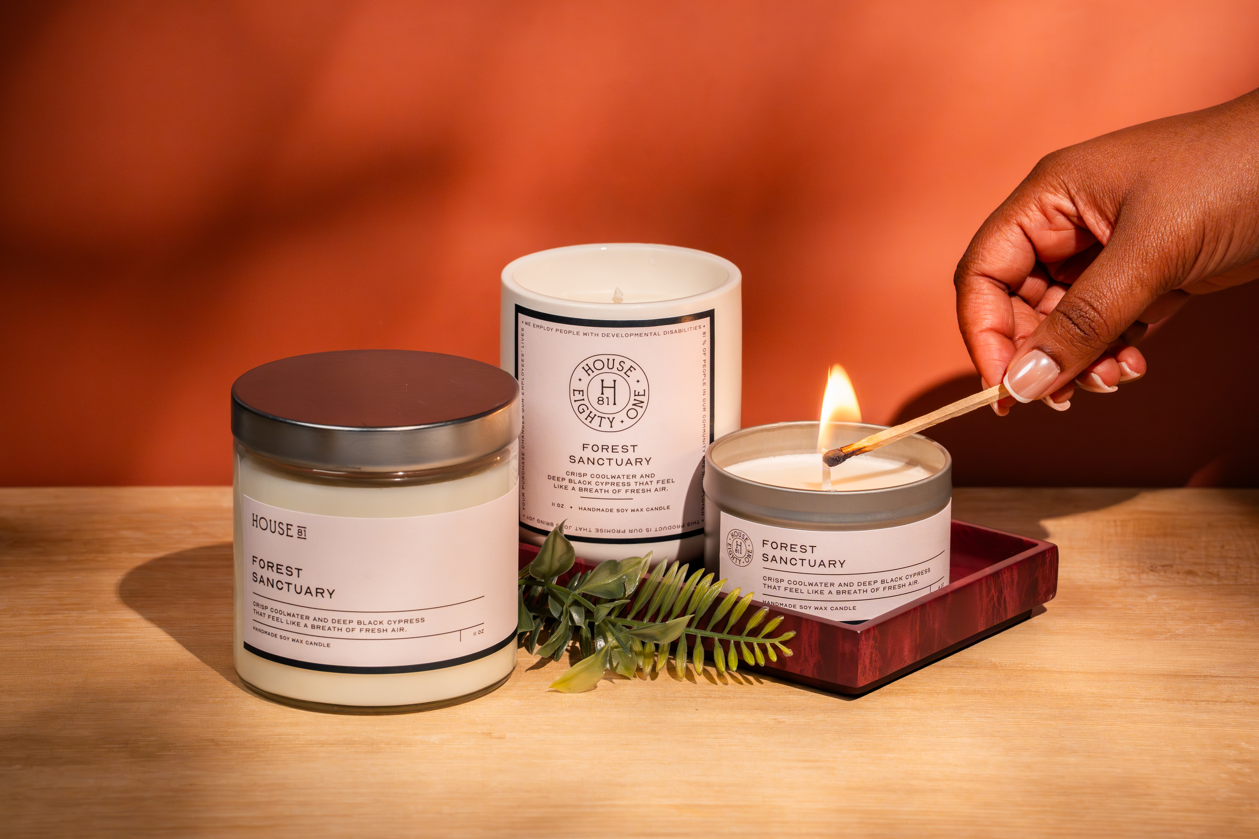 Three Forest Sanctuary soy wax candles on wood with a hand lighting one with a matchstick.
