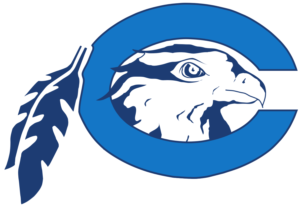 Blue letter C with a hawk's head inside and two feathers attached on the left side.