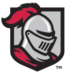 Silver knight helmet with red plume and visor on a gray shield background.