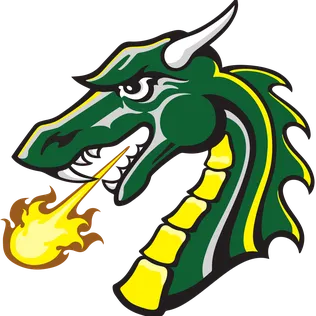 Green dragon head breathing fire with yellow and black details in a fierce expression.