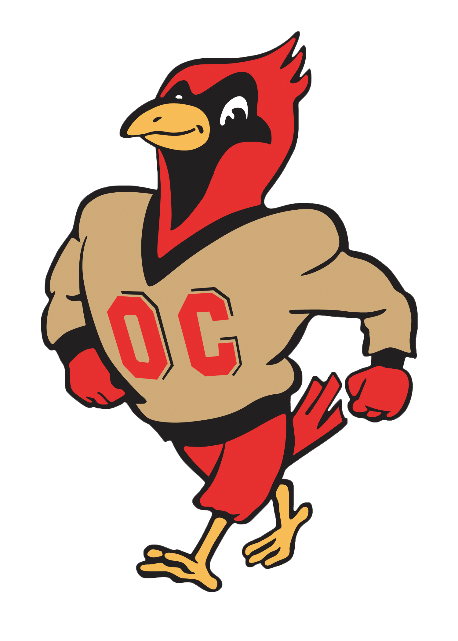 Cartoon cardinal with muscular arms wearing a tan jersey marked OC, walking confidently.