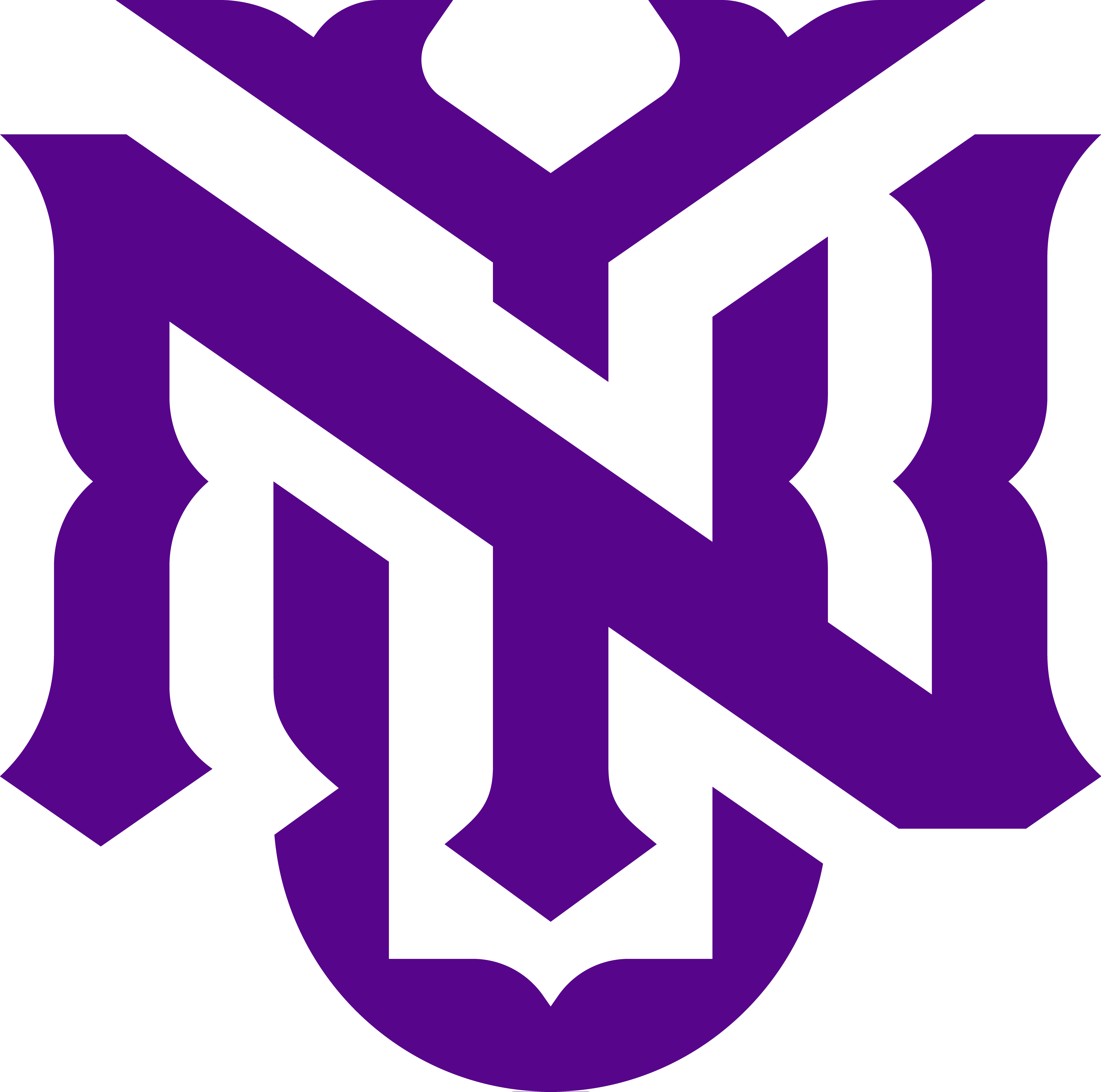Stylized purple monogram combining the letters N and Y in a gothic-inspired design.