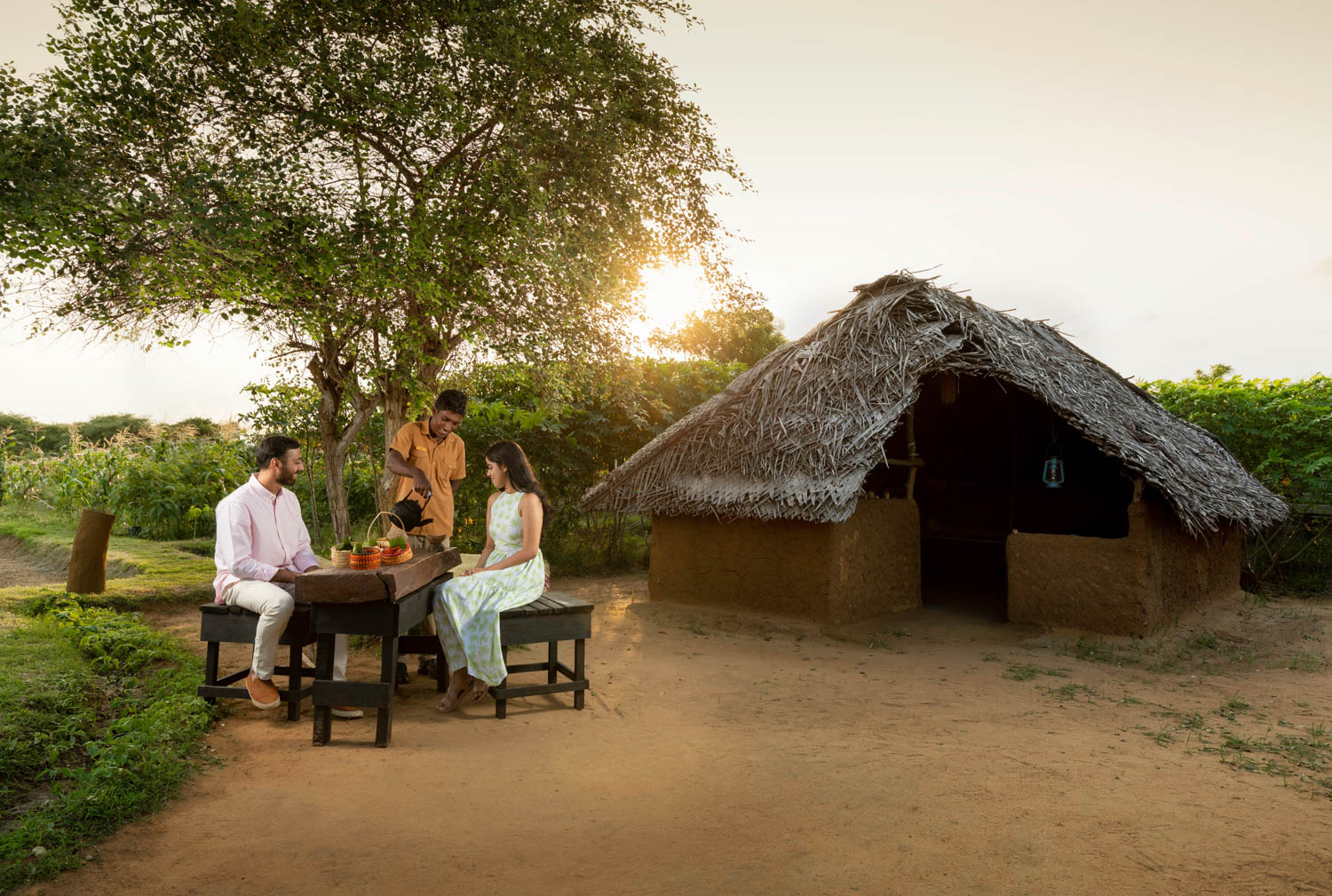 Jetwing Jungle Lodge