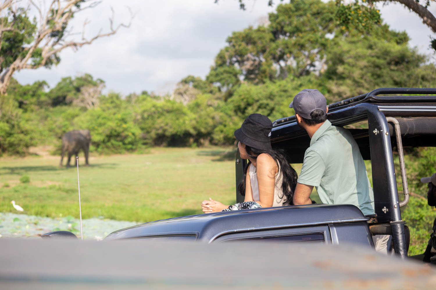 Jetwing Jungle Lodge