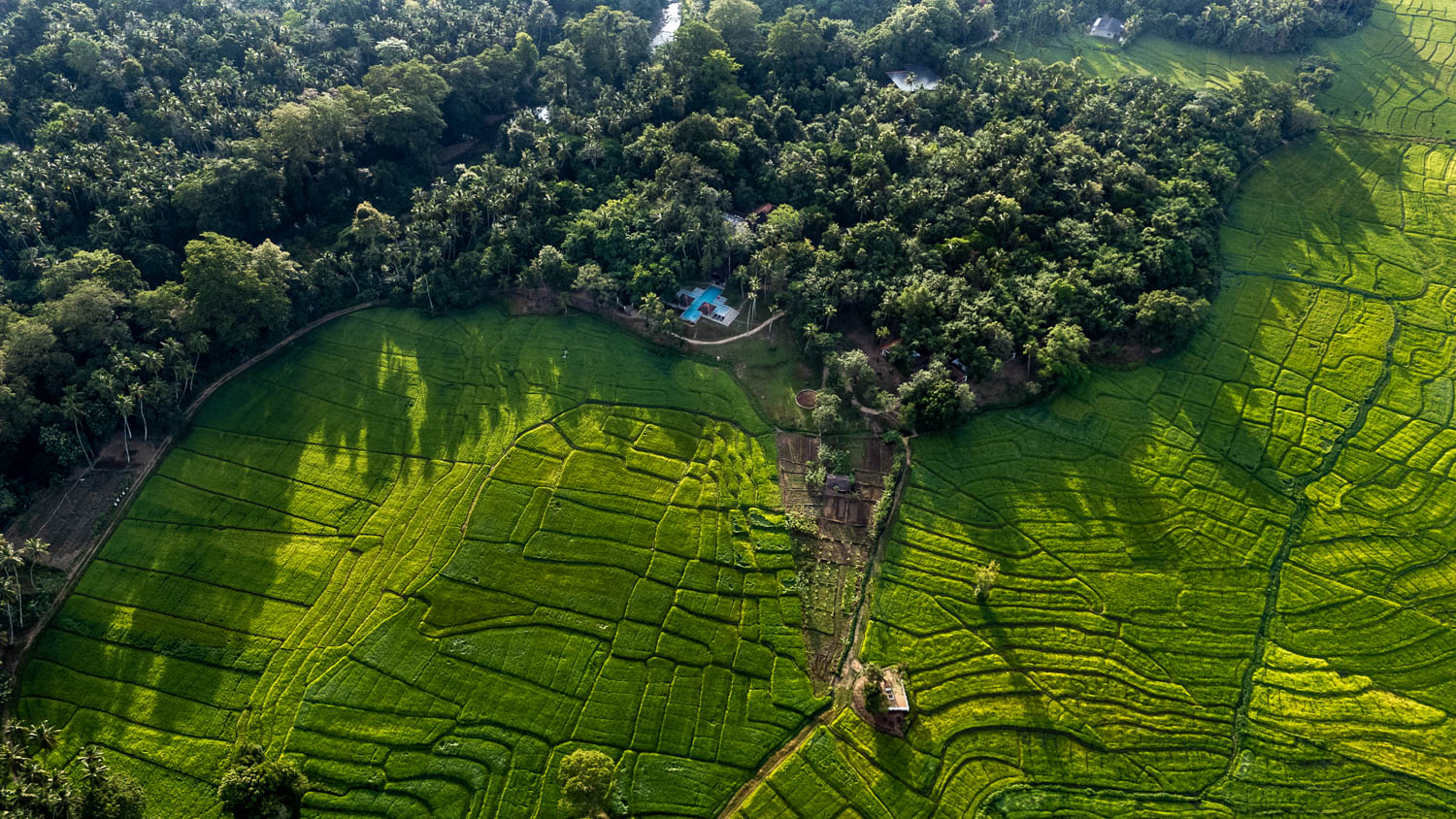 Jetwing Kaduruketha