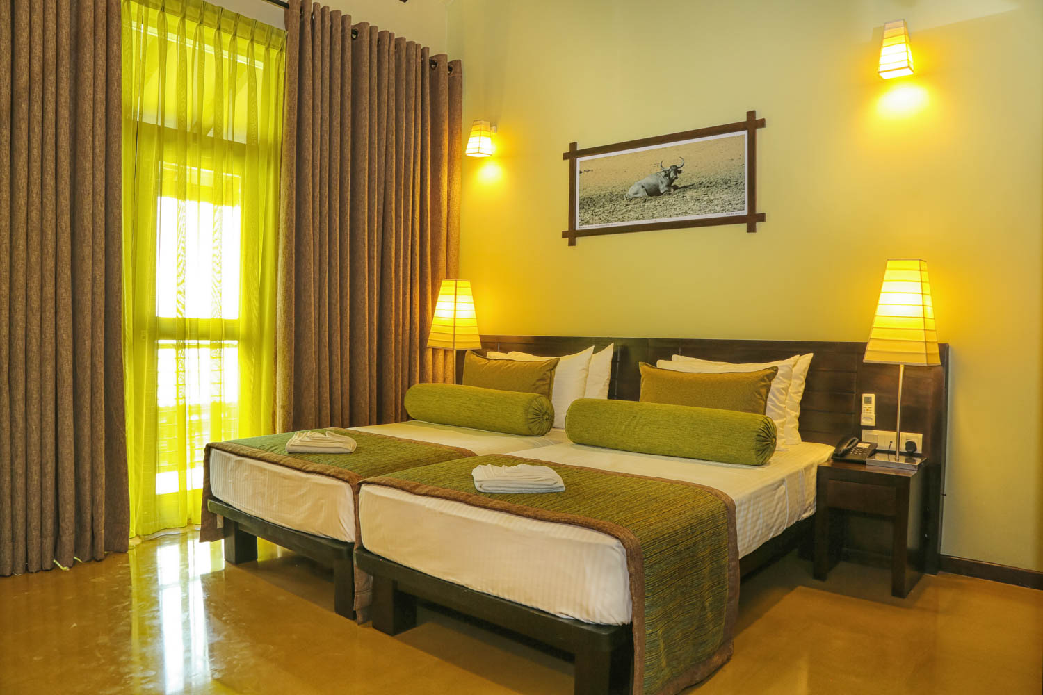 Oak Ray Wild Yala