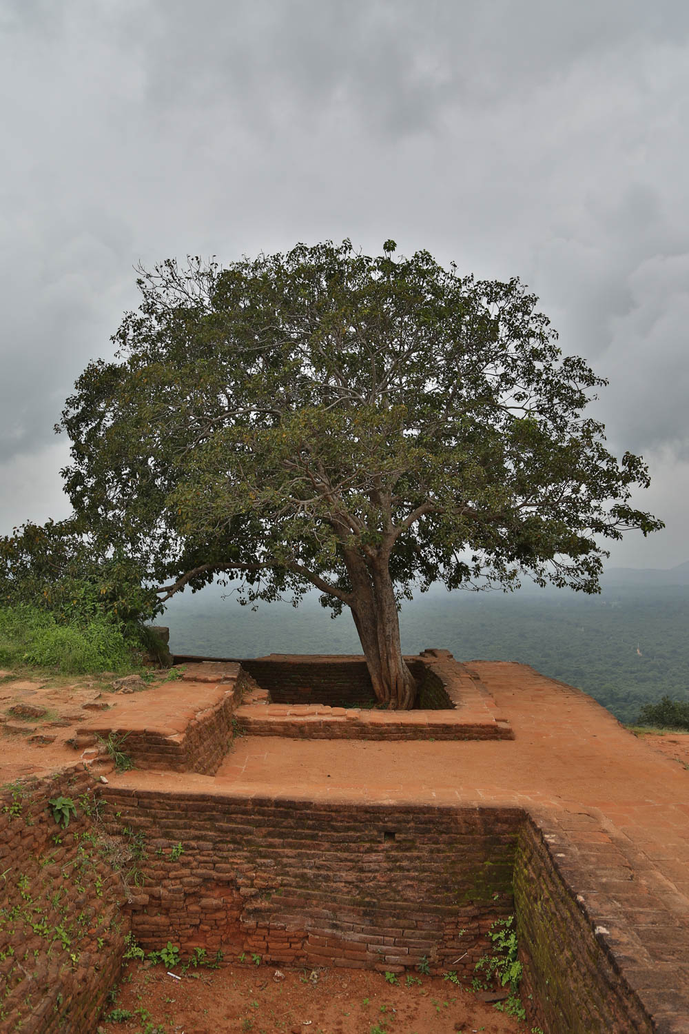 Sigiriya Lion Rock Fortress