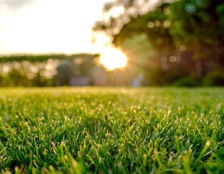 How Window Film Makes Your Home More Energy Efficient