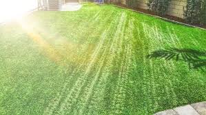 How Window Film Makes Your Home More Energy Efficient