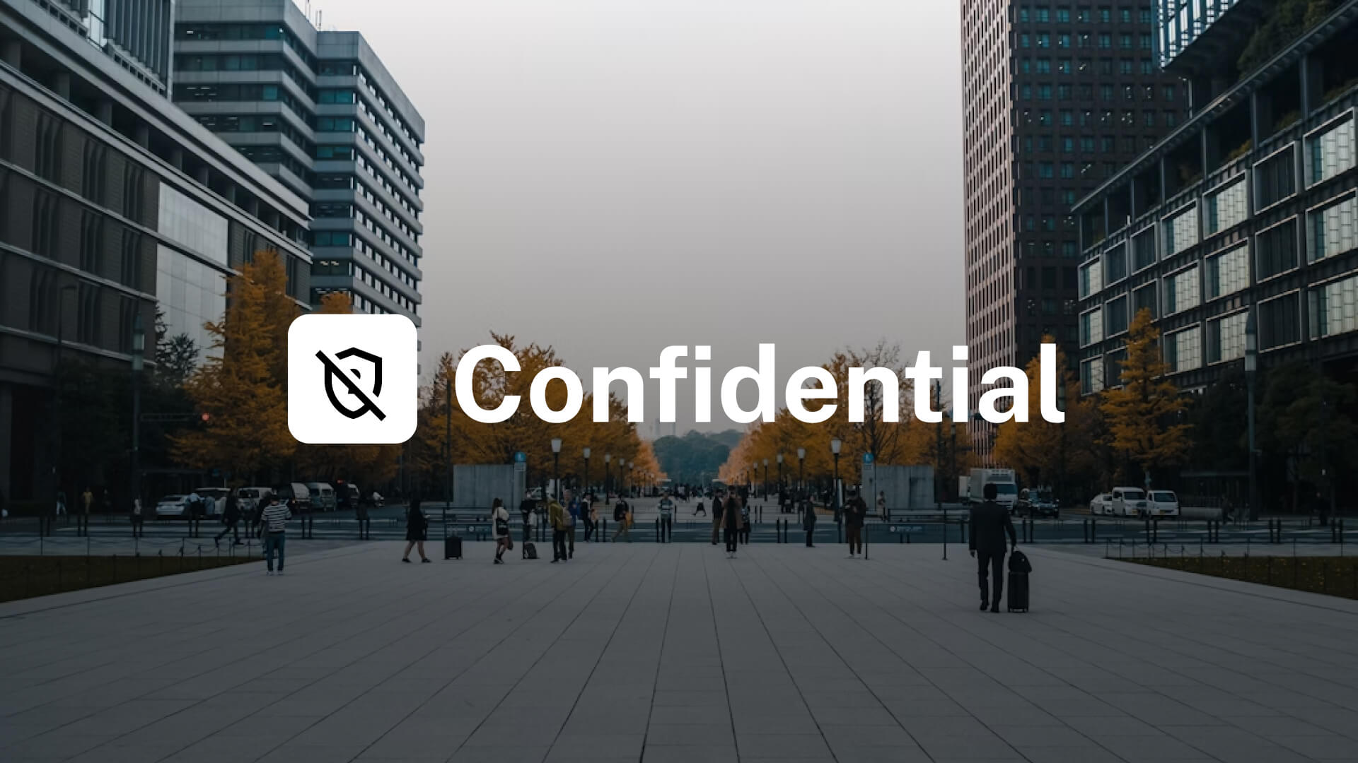 586 SQL's generated for technology expense management company