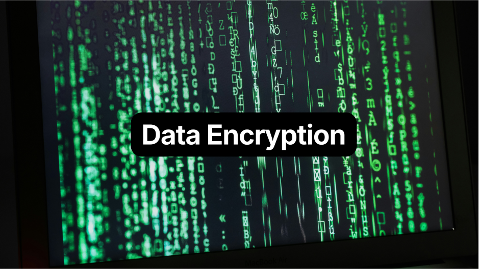 Data encryption for AI systems: secure storage and protected access