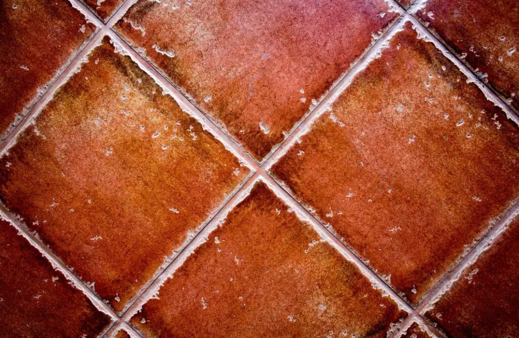 How to Prevent Mold and Mildew in Bathroom Tiles