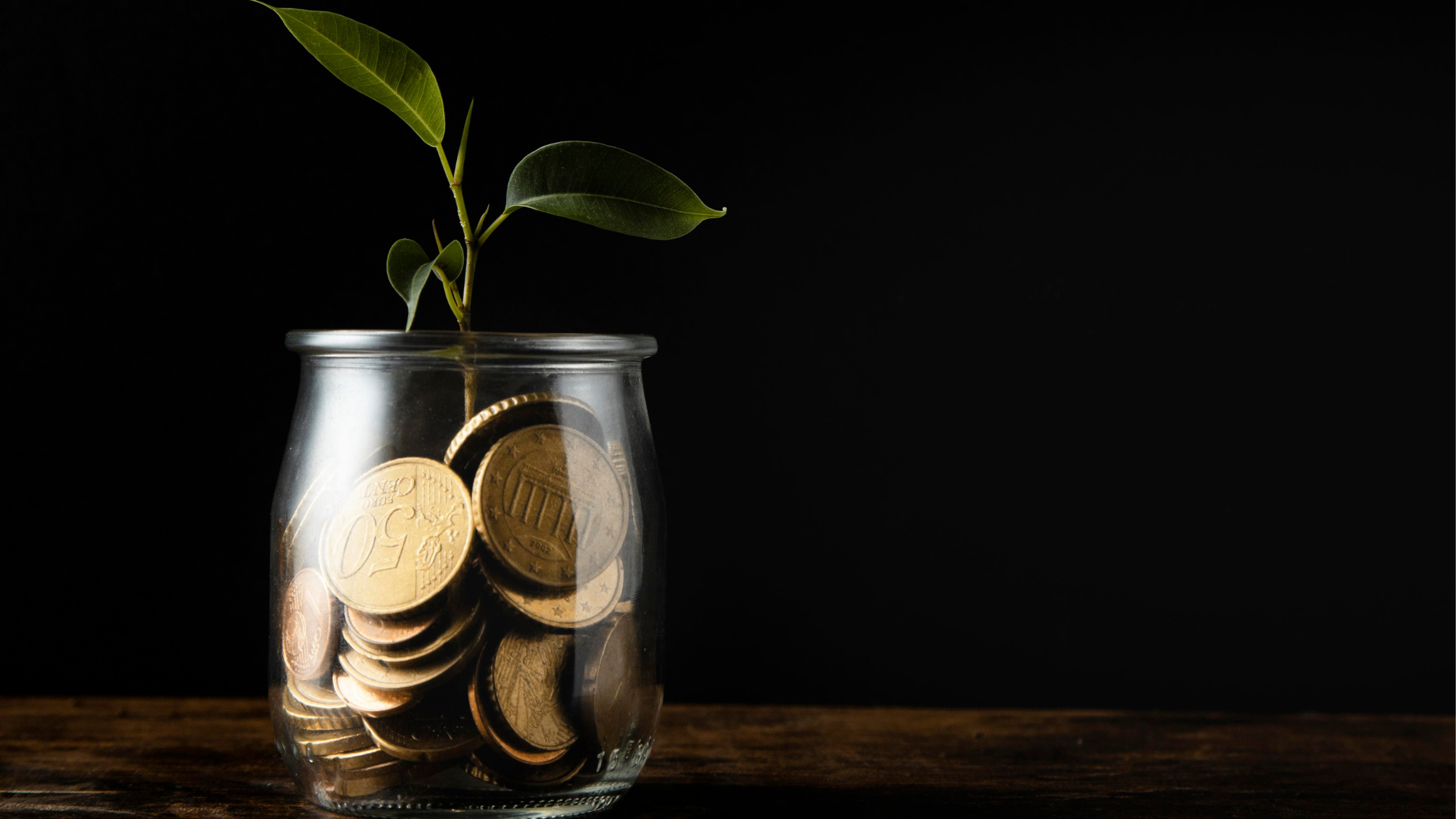 Fixed Cost Model