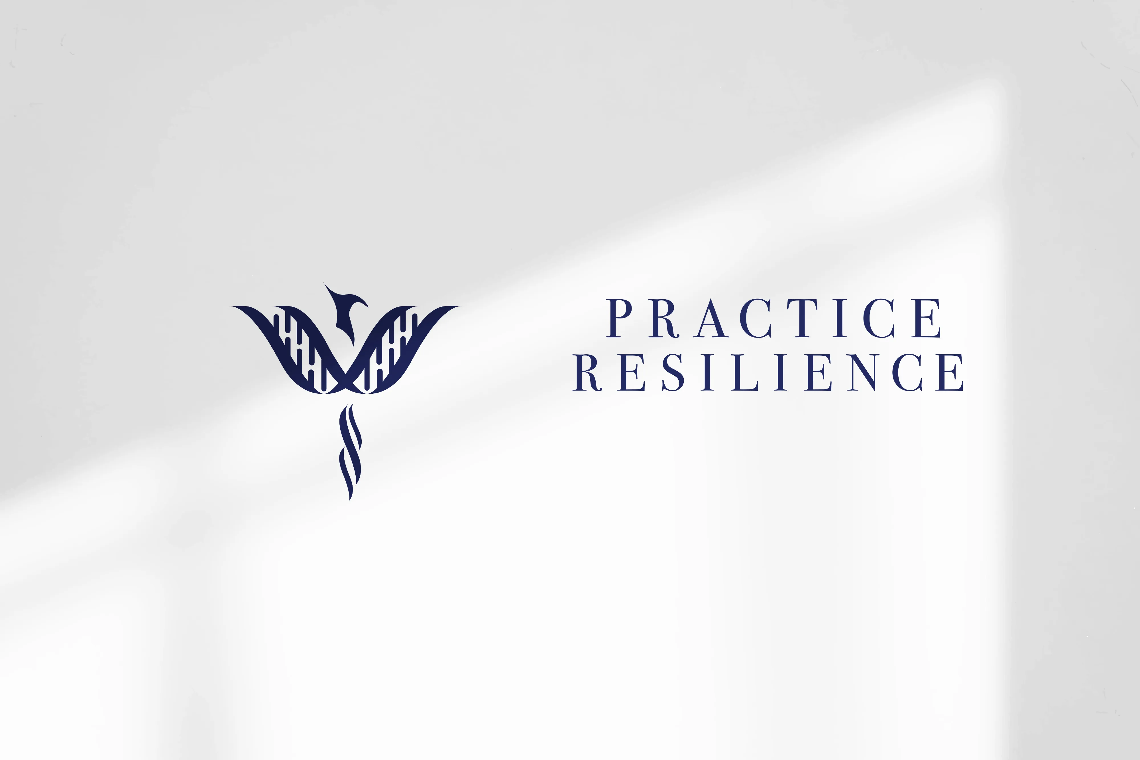 Final logo design for Practice Resilience, showcasing a refined and professional visual identity.
