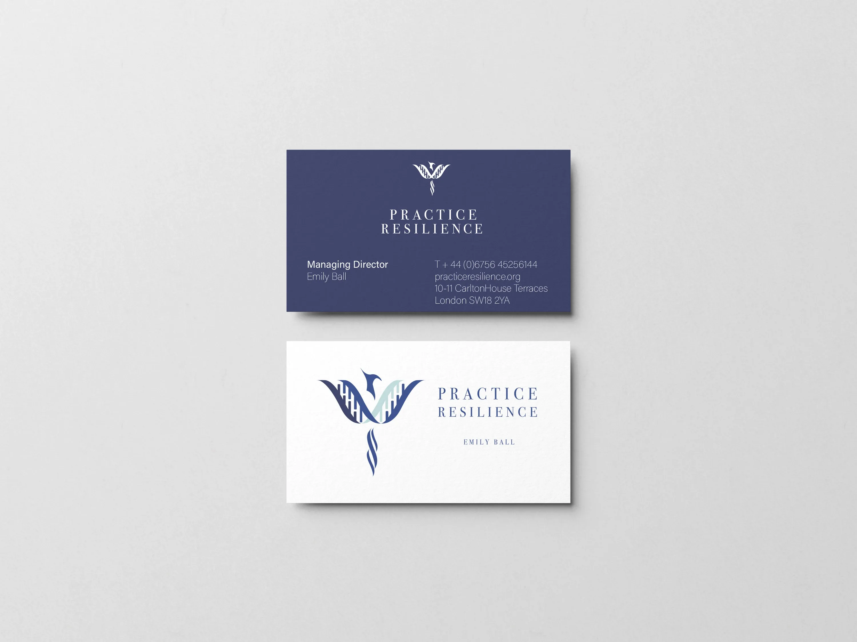 Mockups of stationery items including business cards and letterheads featuring Practice Resilience's new branding.