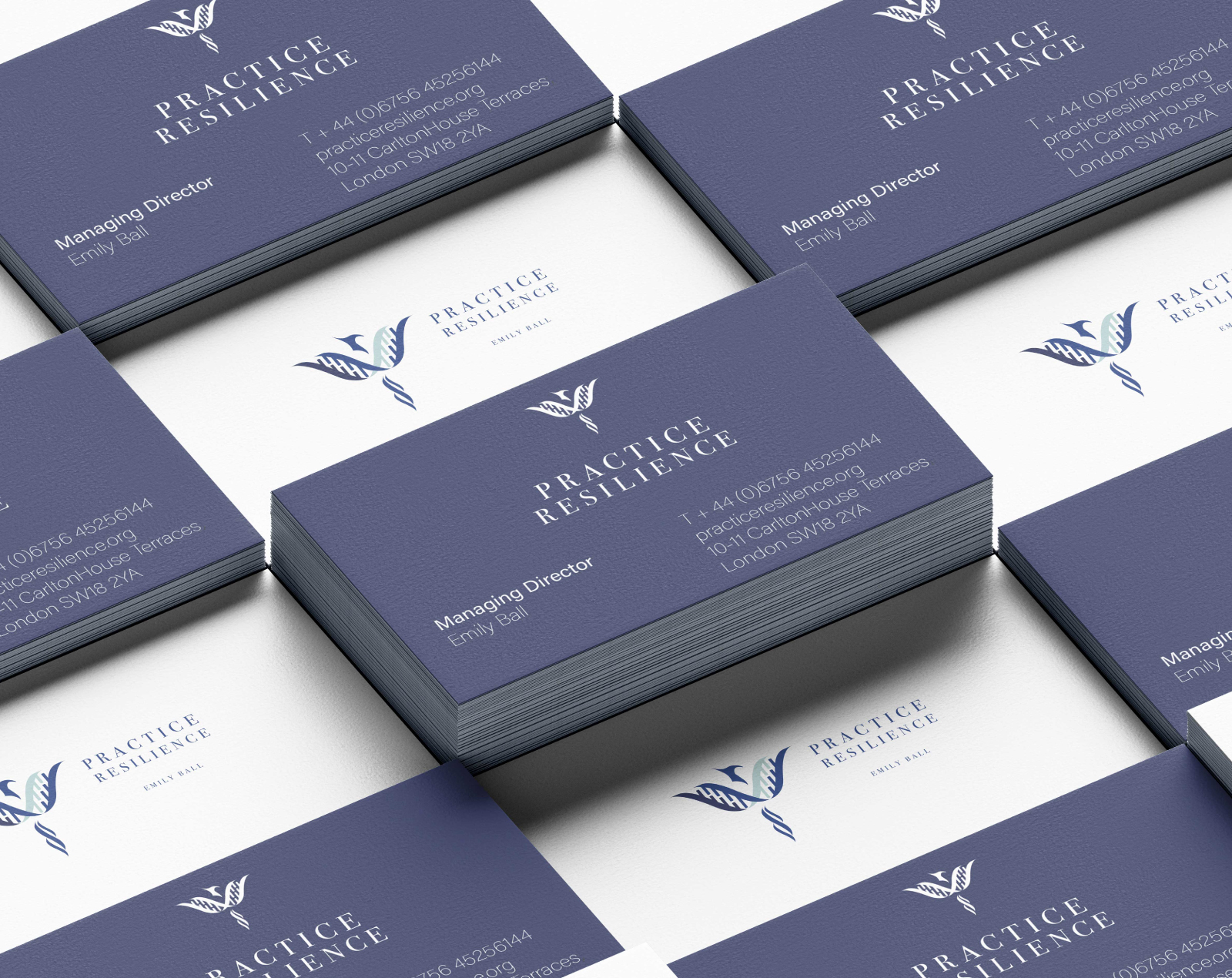 Project card Image for Practice Resilience