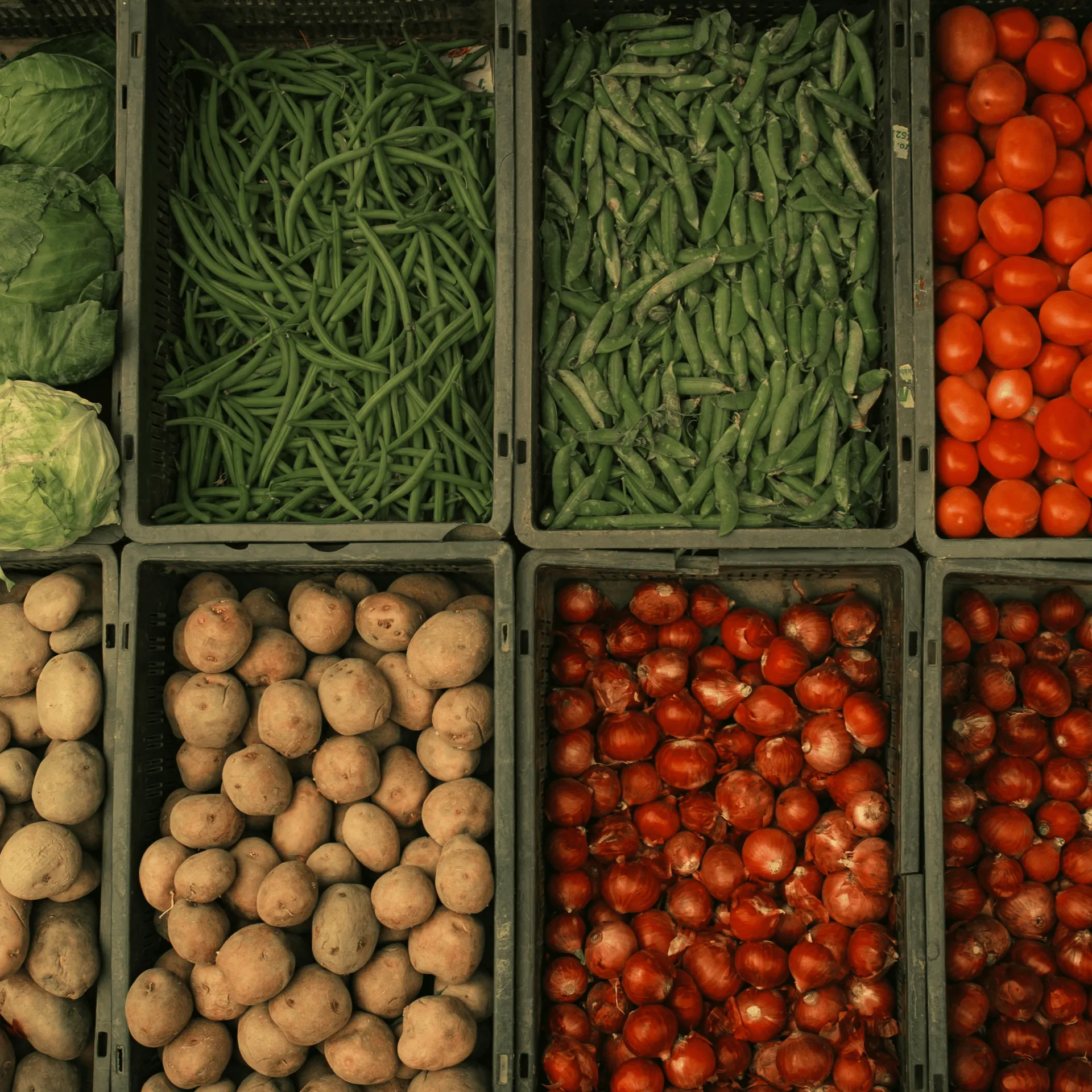 FoodServiceIQ blog article