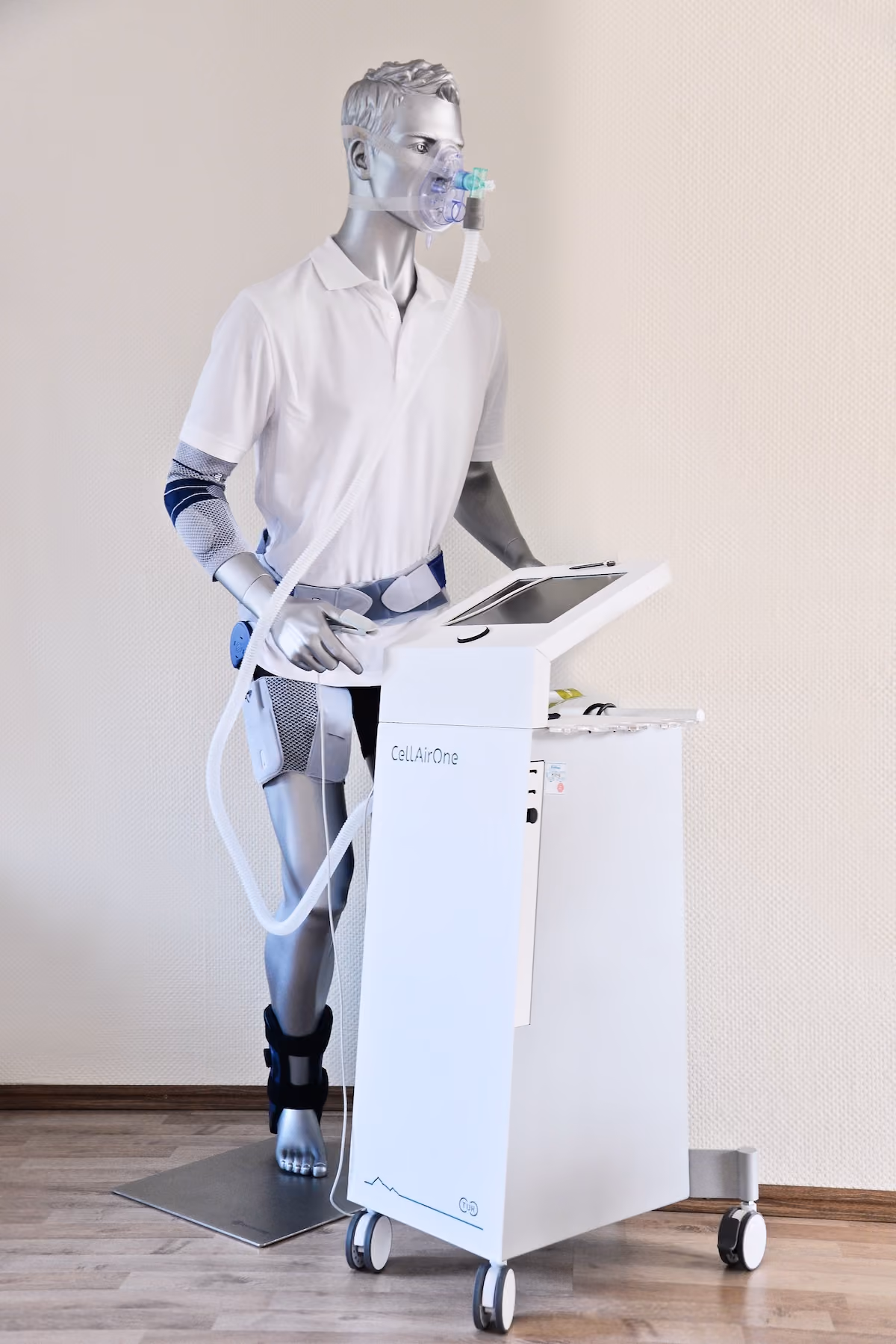Individueller Ablauf einer Darmsanierung zur Unterstützung der Darmflora