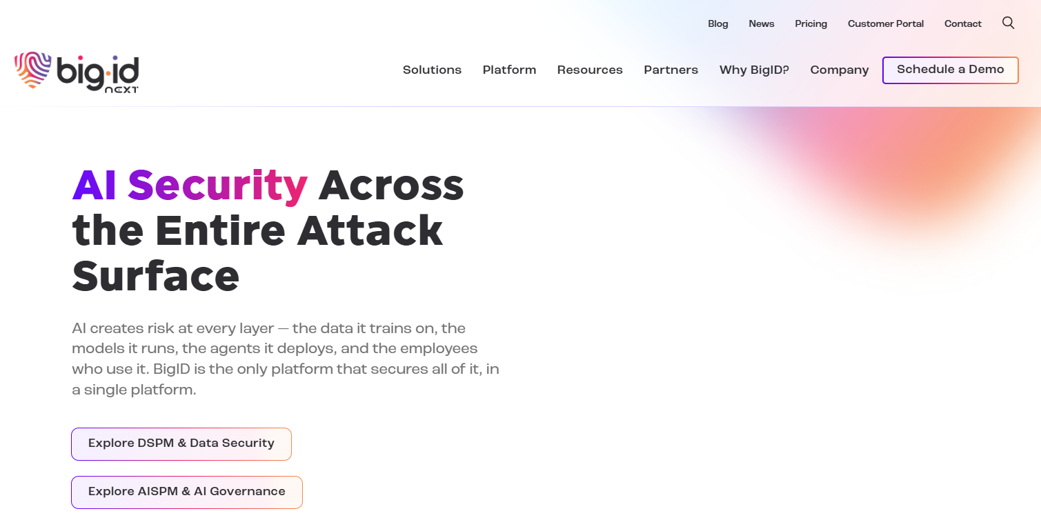 BigID Platform Screenshot