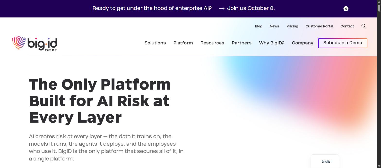 Screenshot of BigID's homepage, showing its 'The Only Platform Built for AI Risk at Every Layer' headline.