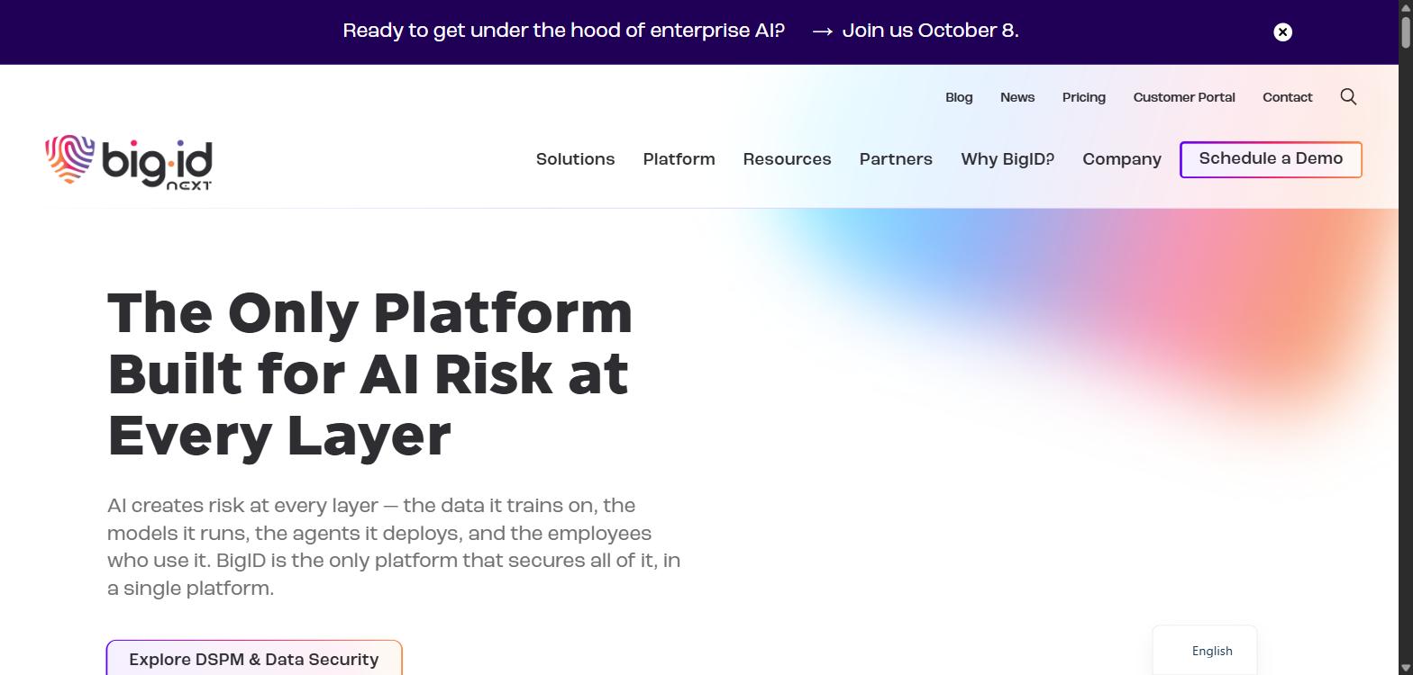 Screenshot of BigID's homepage, showing its 'The Only Platform Built for AI Risk at Every Layer' headline.