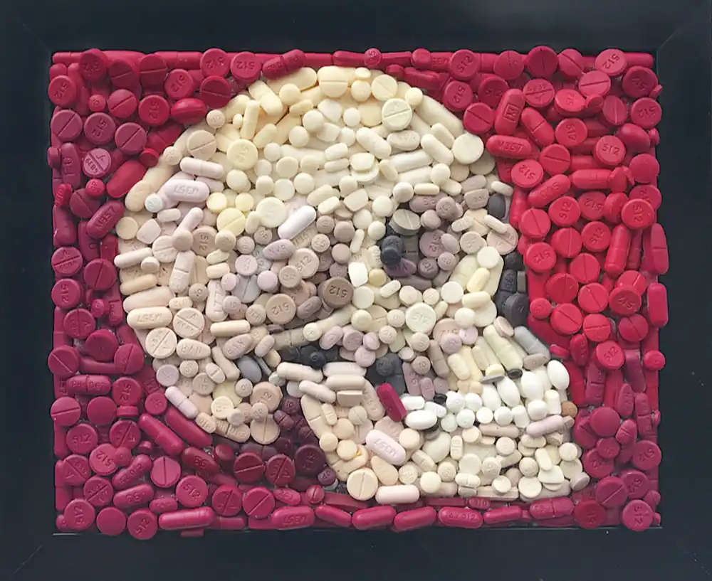 The Cure mosaic by Kevin Champeny, 800 hand-cast painkillers and prescription drugs