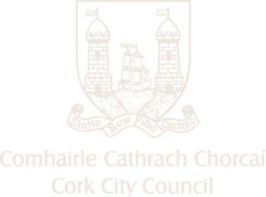 Cork City Council Nighttime Economy